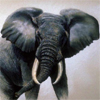 Слоники Серый слон с бивнями аватар