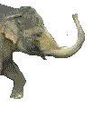 Слоники Машет хоботом аватар