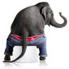 Слоники Слон в голубых брюках аватар