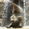Слоники Слон под водопадом аватар