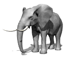 Слоники Большой ушастый слон аватар