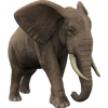 Слоники Слон серый с большими ушами аватар