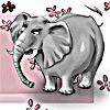 Слоники Слон серый на розовом фоне аватар