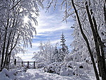 Зима Прекрасный зимний пейзаж аватар