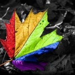 Листья, листва, трава Радужный лист аватар