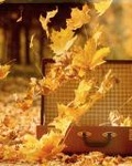 Листья, листва, трава Желтые листья кружат над открытым чемоданом аватар