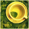 Листья, листва, трава Чашка с блюдцем стоит на чайных листьях аватар