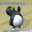 Пингвины Категорически вас приветствую, пингвин машет аватар
