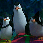 Пингвины Пингвины из мультфильма мадагаскар аватар