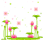 Цветы Анимированные тюльпаны аватар