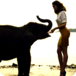Слоники Девушка кормит слона аватар